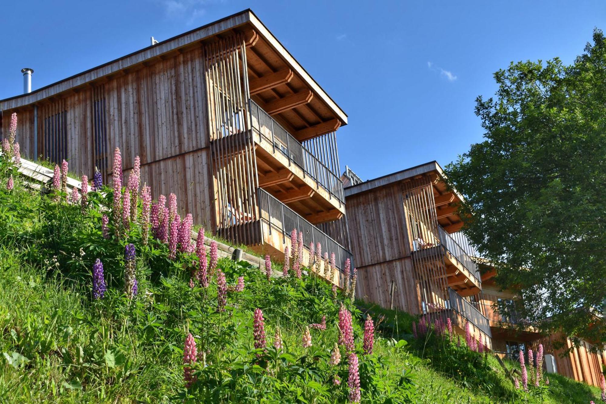 L'Aiguille Grive Chalets Hotel Les Arcs  Dış mekan fotoğraf